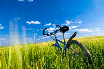 عکس دوچرخه سواری در دشت: تجربه ای دلنشین در دل طبیعت