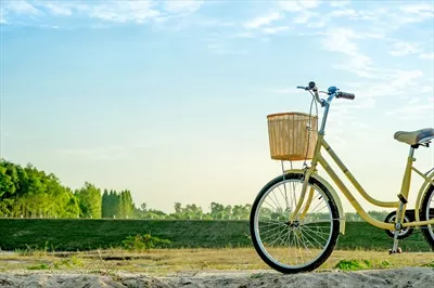 عکس دوچرخه زرد در غروب زمستانی با فضای خالی برای نوشتن