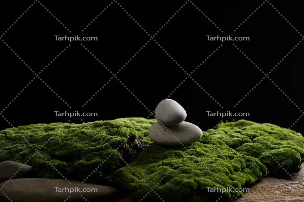 عکس چیدمان سنگ های گرد بر روی خزه سبز برای نمایش محصولات و تبلیغات