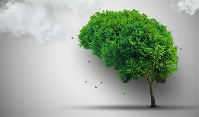 عکس تصویری زیبا از درخت در پس زمینه ای خاکستری و آرامش بخش