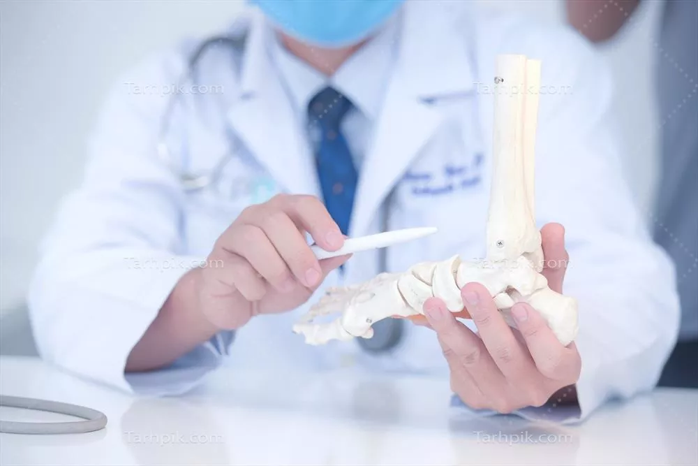 عکس پزشک ارتوپد در مطب خود در حال معاینه بیمار با مدل پا