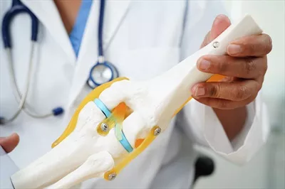 عکس مدل مفصل زانو: نمایش پزشک متخصص در درمان آرتروز زانو