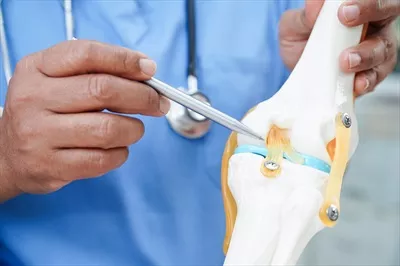 عکس مدل سازی دیسک های کمر: پزشک آسیایی در حال بررسی آسیب های ستون فقرات