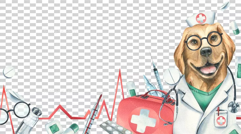 عکس دوربری تصویری خلاقانه از یک سگ پزشک با لباس خواب و ابزار پزشکی