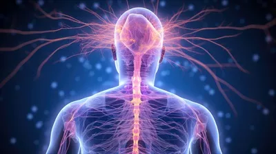 عکس تصویری از انرژی تفکر و شبکه عصبی مغز انسان در مواجهه با چالش ها