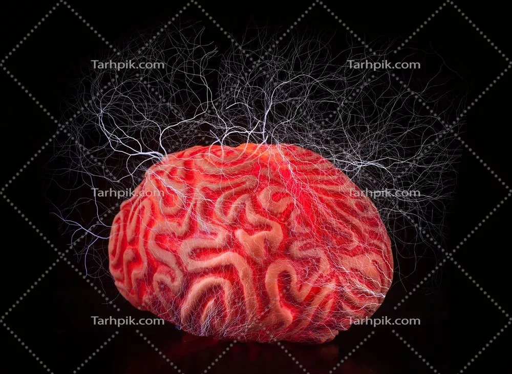 عکس مغز انسان با خاصیت لاستیکی و شوک های الکتریکی: یک تصویر جذاب و علمی