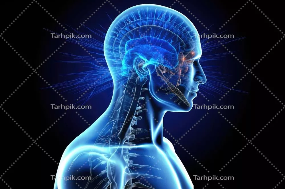 عکس تصویری از اشعه ایکس تولید شده توسط هوش مصنوعی از سر و مغز انسان