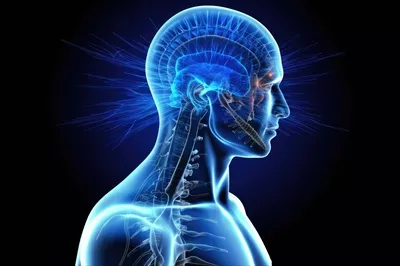 عکس تصویری از اشعه ایکس تولید شده توسط هوش مصنوعی از سر و مغز انسان