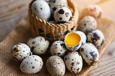 عکس تخم مرغ های بلدرچین تازه در سبد چوبی بر روی میز چوبی