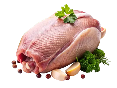 عکس دوربری گوشت تازه و خام با کیفیت بالا و واقع گرایانه در پس زمینه شفاف