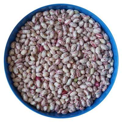 عکس دوربری لوبیاهای قرمز: منبعی غنی از پروتئین و ویتامین ها در رژیم غذایی