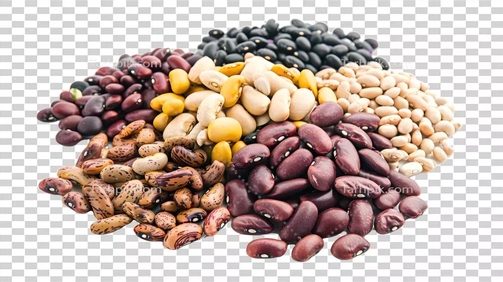 عکس دوربری تنوع رنگارنگ حبوبات خشک در یک چیدمان جذاب و زیبا
