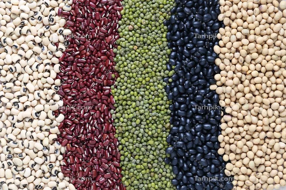 عکس نمایی از پنج نوع لوبیا رنگی بر روی پس زمینه چوبی برای ترویج تغذیه سالم