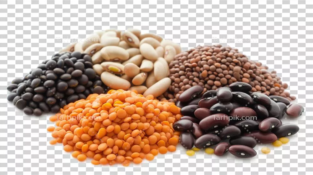 عکس دوربری مجموعه ای از حبوبات و عدس در پس زمینه شفاف به صورت جداگانه