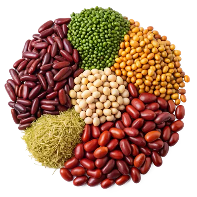 عکس دوربری مجموعه ای از حبوبات و لوبیاهای رنگارنگ در یک بشقاب زیبا