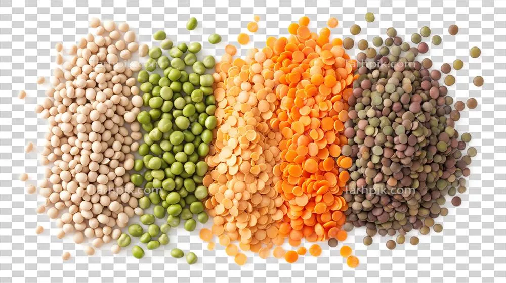 عکس دوربری ترکیب متنوع از انواع لپه و حبوبات در یک تصویر زیبا و جذاب
