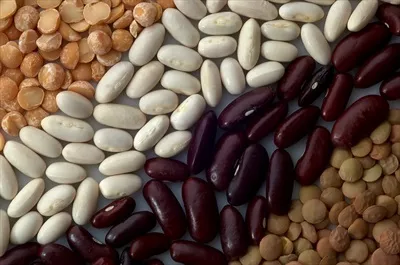 عکس بررسی انواع حبوبات و خواص تغذیه ای آن ها برای سلامتی