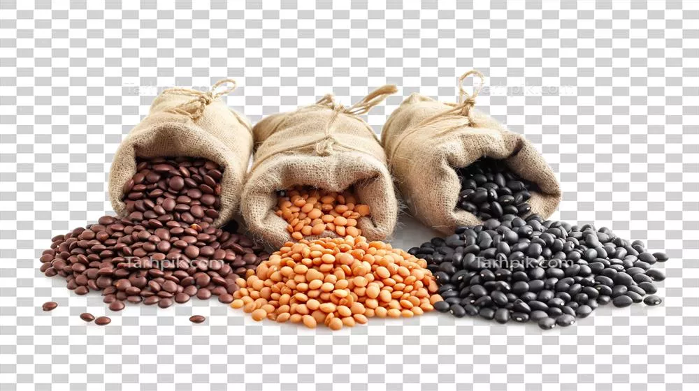 عکس دوربری مجموعه ای از حبوبات و عدس در پس زمینه شفاف و زیبا