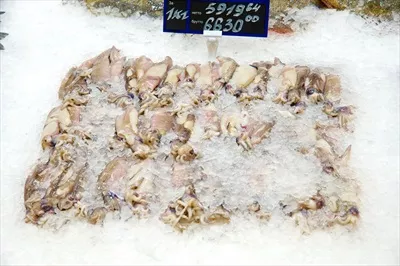 عکس غذای دریایی تازه و یخ زده، تزئین شده برای فروش در بازار