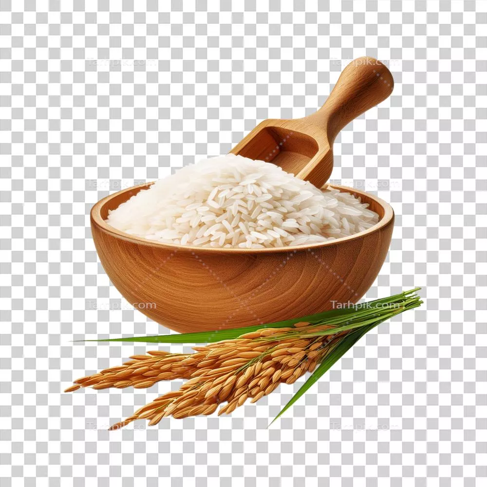 عکس دوربری کاسه چوبی برنج با خوشه ای از گیاه برنج بر روی پس زمینه شفاف