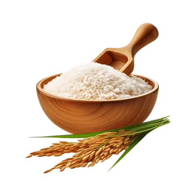 عکس دوربری کاسه چوبی برنج با خوشه ای از گیاه برنج بر روی پس زمینه شفاف