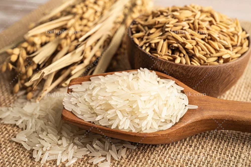 عکس برنج یاسمن سفید در کاسه چوبی با دانه های طلایی از مزرعه کشاورزی