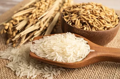 عکس برنج یاسمن سفید در کاسه چوبی با دانه های طلایی از مزرعه کشاورزی
