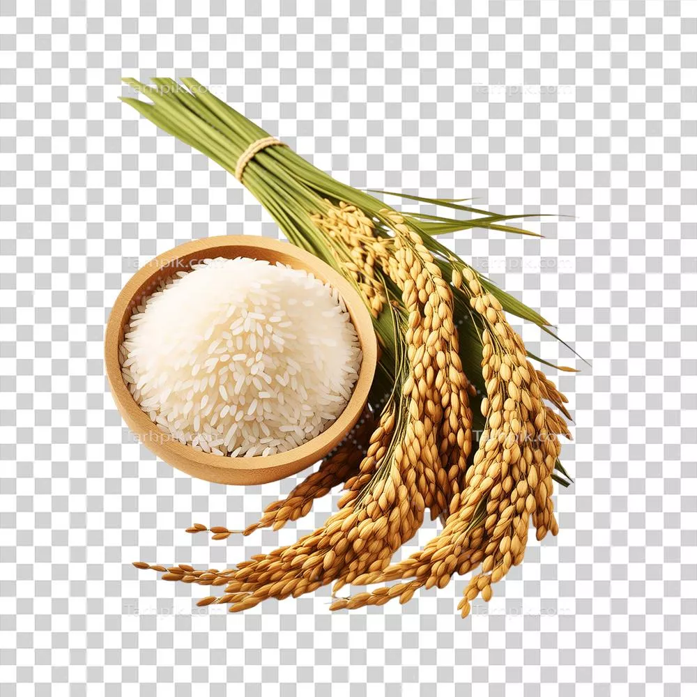 عکس دوربری بسته ای از گیاه برنج در کنار کاسه چوبی برنج بر روی پس زمینه شفاف