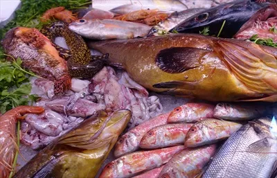 عکس ماهی تازه در بازار شهر ایتالیا: تجربه ای از طعم و تازگی