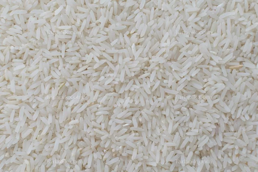 عکس بررسی کامل و جامع برنج یاسمین: خواص، طرز تهیه و نکات مهم