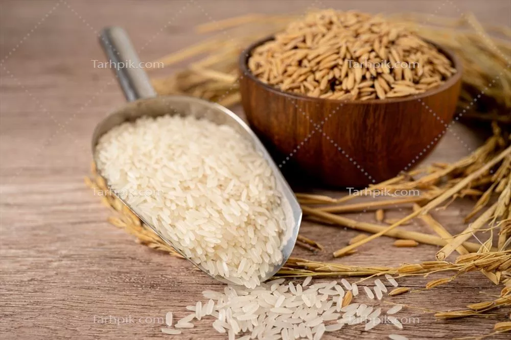 عکس برنج یاسمن سفید در کاسه چوبی با دانه های طلایی از مزارع کشاورزی