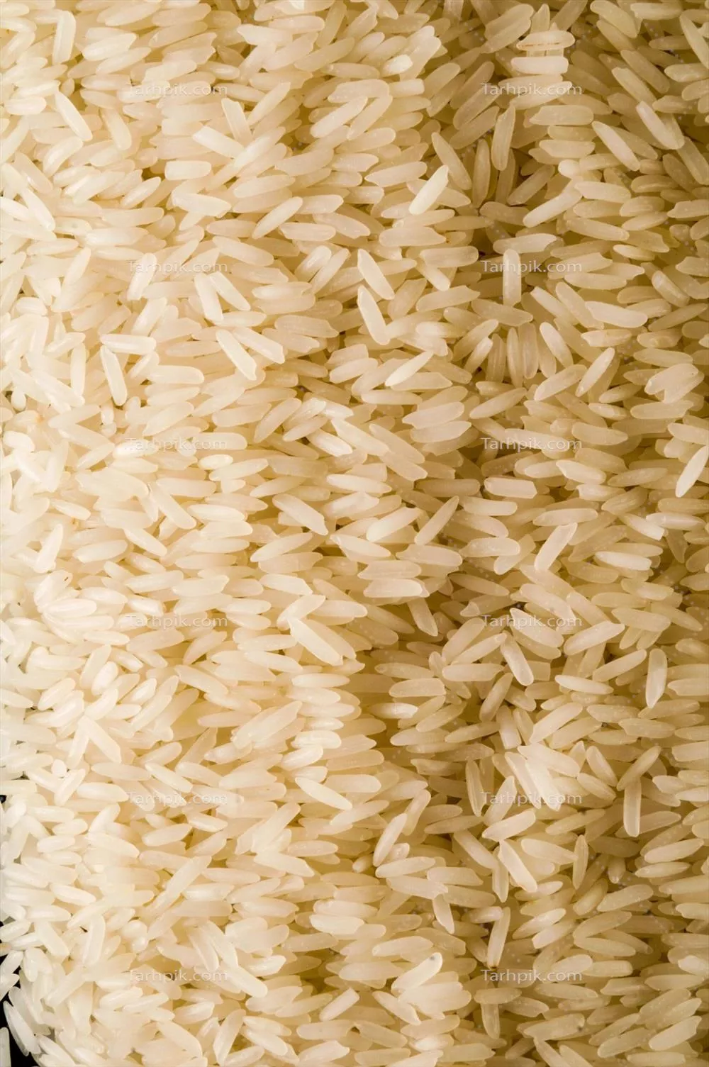 عکس بررسی و تحلیل انواع برنج سفید و ویژگی های آن در آشپزی