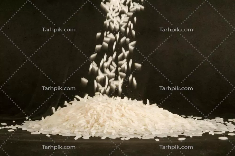 عکس بررسی و تحلیل برنج بر روی زمینه سیاه: زیبایی و سادگی در عکاسی
