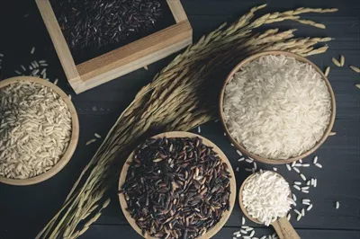 عکس برنج ژاپنی و تایلندی: ترکیبی از طعم و عطر در یک تصویر زیبا