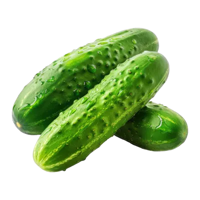 عکس دوربری خیار تازه و خوشمزه در پس زمینه ای شفاف و زیبا