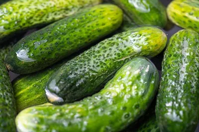 عکس آماده سازی خیارشور: روش های مختلف و نکات کلیدی برای طعم دهی
