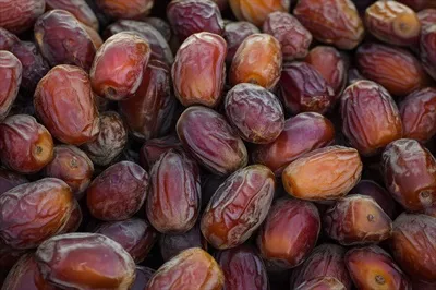 عکس خرماها؛ میوه ای محبوب و مغذی در فرهنگ غذایی خاورمیانه