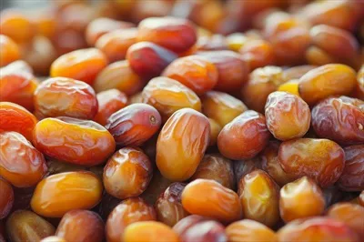 عکس خرماها؛ میوه ای محبوب و مغذی در فرهنگ غذایی خاورمیانه