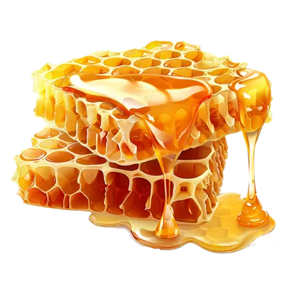 عکس دوربری عسل طبیعی در پس زمینه شفاف: زیبایی و طراوت طبیعت در یک تصویر