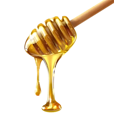 عکس دوربری تصویری زیبا از عسل در حال چکیدن از قاشق چوبی با پس زمینه شفاف
