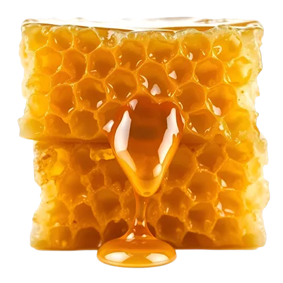 عکس دوربری عسل طبیعی و خوشمزه در کندوی تازه با طعم شیرین و دلپذیر