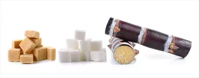 عکس بررسی کامل نیشکر و قند مکعبی در پس زمینه ای سفید و زیبا