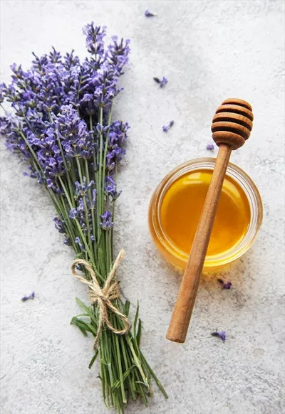 عکس شگفت انگیز از شیشه عسل با گل های تازه اسطوخودوس