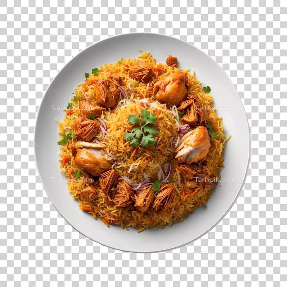عکس دوربری عکسی زیبا و جذاب از برنج مرغی خوشمزه در ظرف سفید