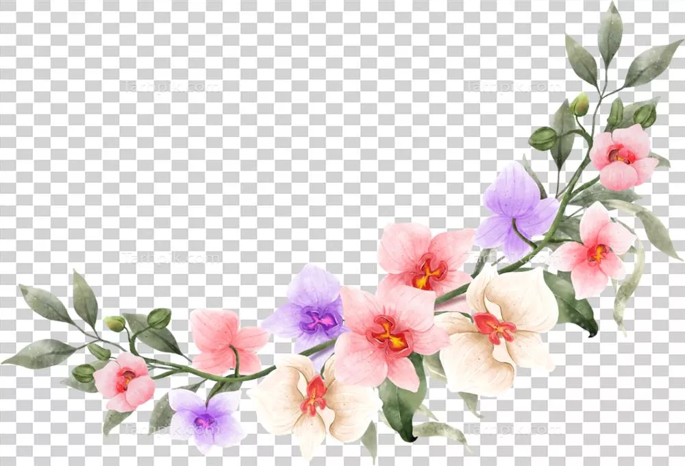 عکس دوربری تاج گل ارکیده صورتی با طراحی آبرنگ برای مراسم عروسی