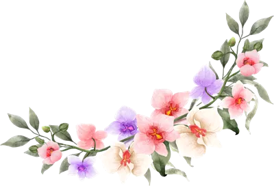 عکس دوربری تاج گل ارکیده صورتی با طراحی آبرنگ برای مراسم عروسی