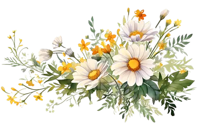عکس دوربری گوشه ای زیبا از گل های داستی و بابونه برای دعوتنامه های عروسی