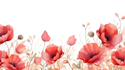 عکس دوربری تصویر زیبای گل های شاداب و رنگارنگ در پس زمینه شفاف