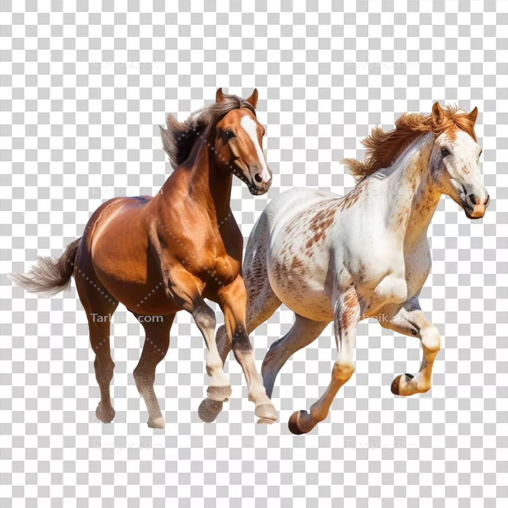 عکس دوربری اسب در حال دویدن با پس زمینه ای جذاب و طراحی هوش مصنوعی