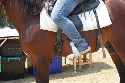 عکس تصویری زیبا از انسان در حال سوار شدن بر روی اسب در طبیعت